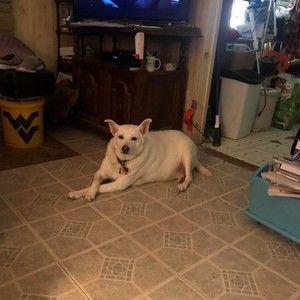 Meet your Posher, Martha